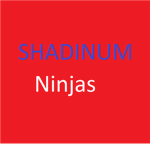 Shadinum Ninjas
