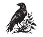 Shadow Rooks