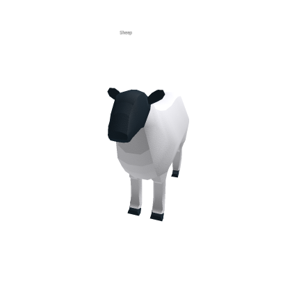 Sheep