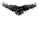 Corvus Mano