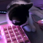 ! Vex