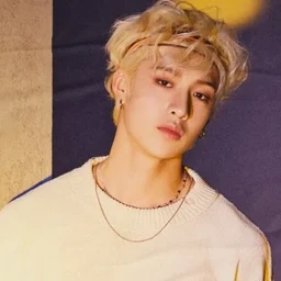 ✧ icon