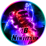 1B Ninjitsu