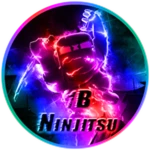 1B Ninjitsu
