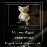 Pana Miguel army