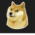 The Doge SQUAD Life