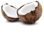kokonut is not A NUT
