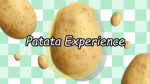 Patata Experience Group