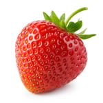 TeriBerry Fan Group