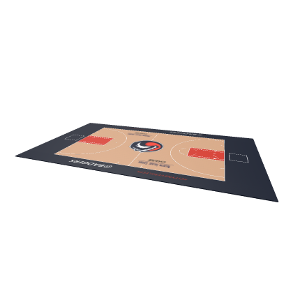 New York Badgers Basketball Court