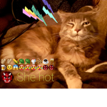 Hair cats DA HOOF