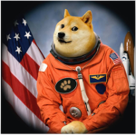 Doge FIB group