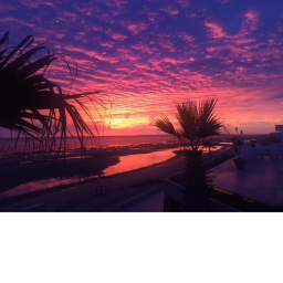Sunset Paradise's (NEW UPDATE) (LOOKS SO MUCH BETT