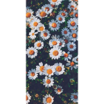 AestheticBerry's