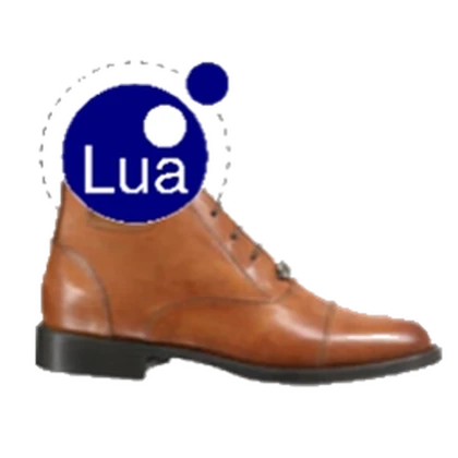LuaShoe Roblox group icon