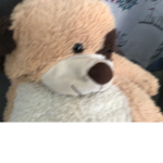 Mr puppy