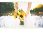 peaceful sunflowers