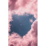 NotAFan_1005