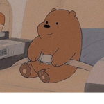 Braun bär