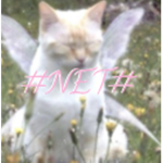 #NET#