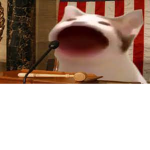 The Cat Country