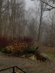 evermore －