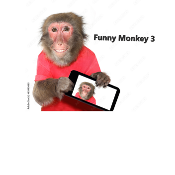 Funny Monkey 3