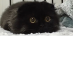 %@