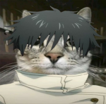 Cat gang:)