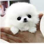 Cute cute kid in the world