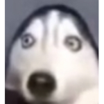 no:))