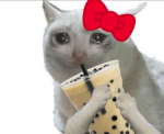 Play Roblox Games together