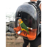 the birds that fly away