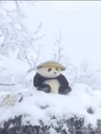 luckі Group Thumbnail