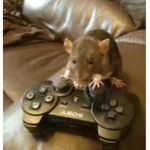 on.1xbox