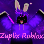 Zup's Group