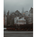 The New Yorkers!