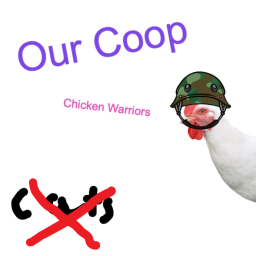 Our Coop 🐔