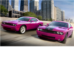 purple elec. clan
