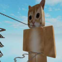 Cart Ride Into El Gato