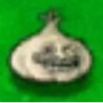 Sect of Drip