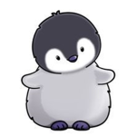#THE PENGUINS