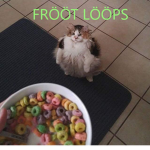 FRÖÖT LÖÖPS