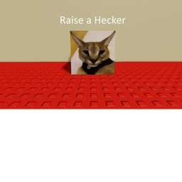 educate a hecker