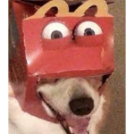 mmmmmmmmmmmmmmmm no se que poner xd