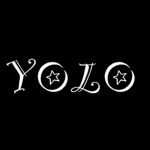 •-YOLO-•