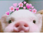 Melu_<3