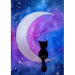 Galaxy Kitty!