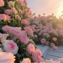 ᰔ ˚｡ ⋆ ୨ 🌷 ♡ .ᐟ .ᐟ ⋆ ˚