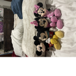 Mickey and Minnie Show